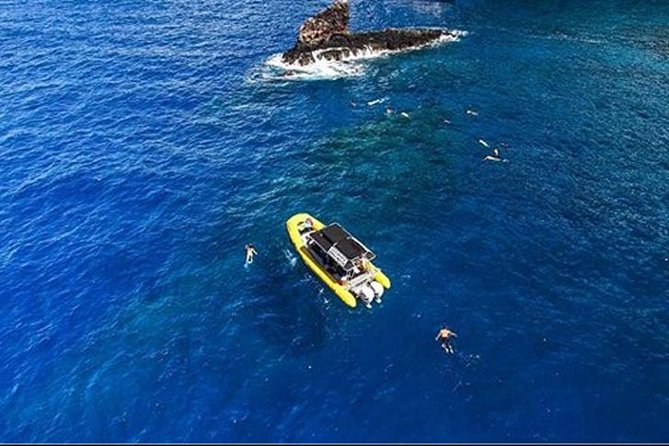 Ultimate 4 Hour Lanai Snorkel and Dolphin Encounter - Who this tour fits (and who may want a different option)