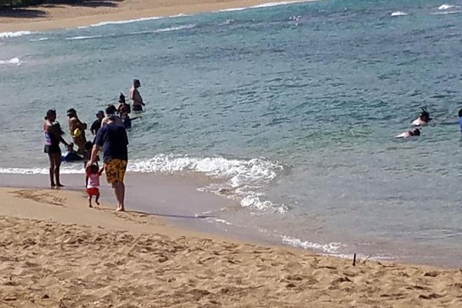 Ultimate Grand Oahu Circle Island Tour with Snorkeling and More - Snorkeling at Shark’s Cove: gear included, but conditions can change