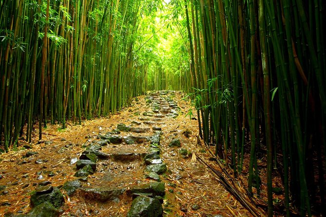 Ultimate Hana Full-Day Adventure Tour - The Hana Highway Drive: 50+ Bridges, Real Scenery, Zero Steering