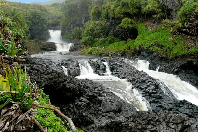Ultimate Hana Full-Day Adventure Tour - Waterfalls and “Old Hawaii”: The Hike to Seven Sacred Pools