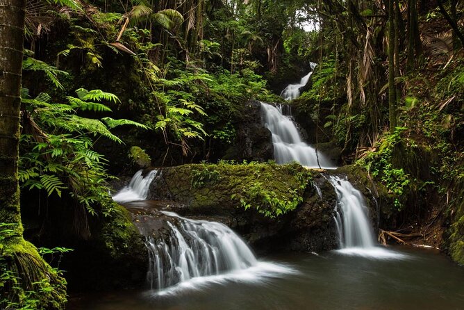 Ultimate Hawaii Road Trip: 4-Island Self-Guided Audio Tours - Price and what you truly get for $39.99 per group