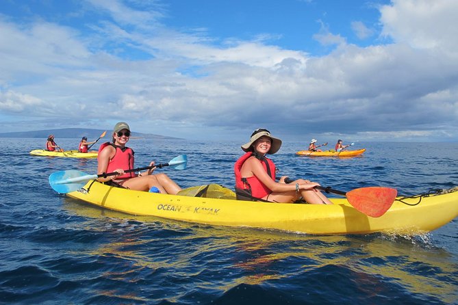 Ultimate Maui Whale Watch Snorkel Tour - Key Highlights You Should Know Before You Go