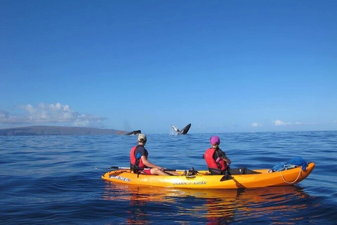 Ultimate Maui Whale Watch Snorkel Tour - Who Should Book This Kayak + Snorkel Tour (and Who Might Not)