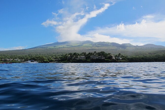 Ultimate Maui Whale Watch Snorkel Tour - Paddling the South Shore: What the Extra Hour Really Gives You