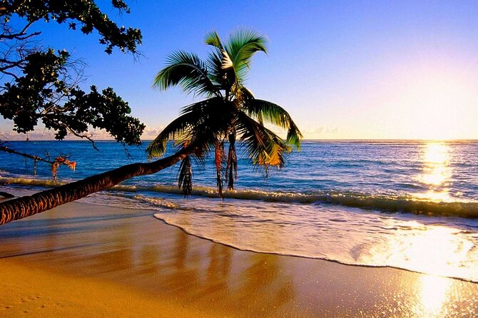 Ultimate North Shore Adventure: Full-Day Hawaiian Experience - Kawela Bay Turtle Beach Stop: A Calm Shore Break With Real Nature Drama