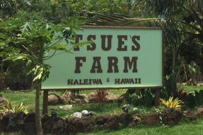 Ultimate North Shore Adventure: Full-Day Hawaiian Experience - Green World Coffee Farms: A Coffee Start That Doesn’t Feel Like a Sales Pitch