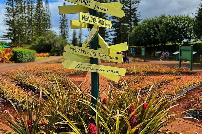 Ultimate North Shore Adventure: Full-Day Hawaiian Experience - North Shore Farm Access: Anahulu River Turtles Plus Water Activity Choices