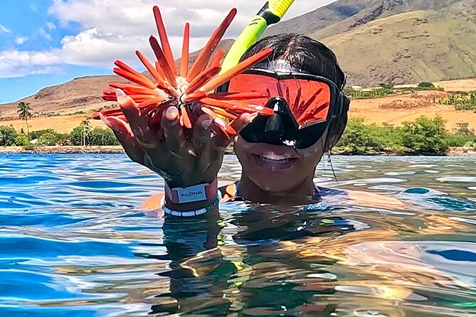 Unlimited Guided Snorkeling Tour for Beginners Plus - Meeting at Lahaina (814 HI-30) and what the tour day feels like