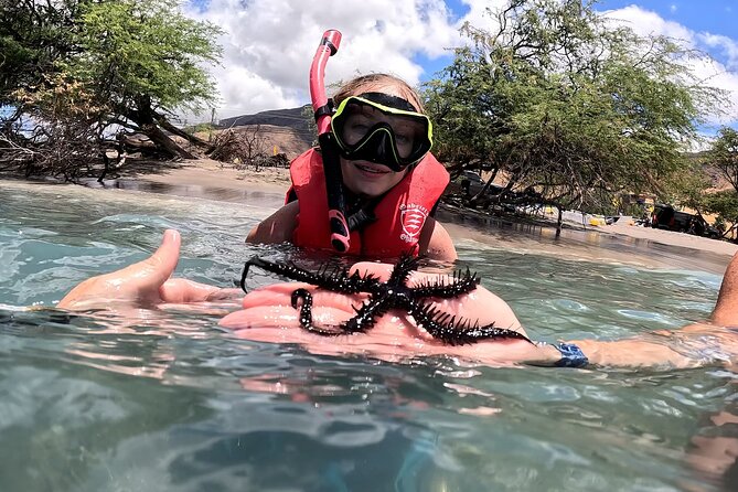 Unlimited Guided Snorkeling Tour for Beginners Plus - Sea life highlights: honu turtles, coral, and the fun of guided spotting