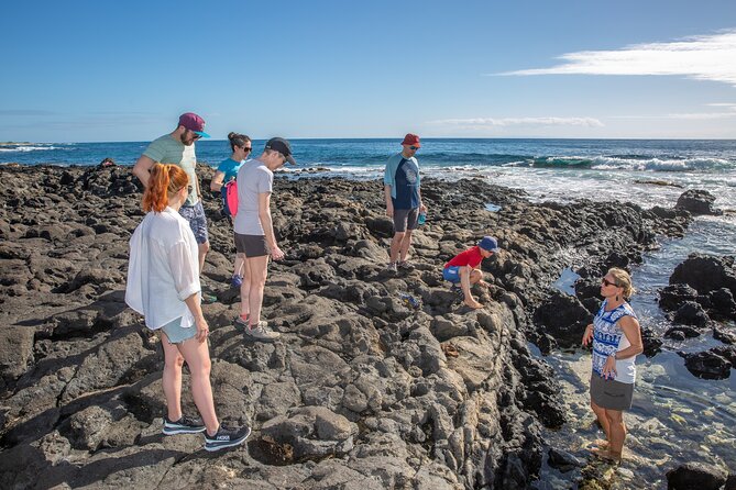VIP Aloha Style Private Island Tour - Who This Tour Is For (and Who Might Prefer Something Else)