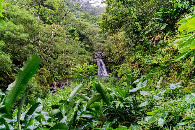 VIP Private Full-Day Road to Hana Tour from Lahaina-Kapalua - Pickup anywhere on Maui: the start that sets the tone