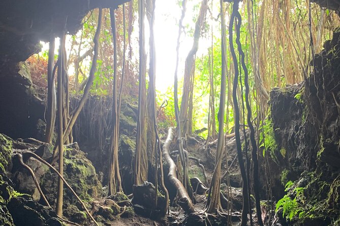 VIP Private Full-Day Road to Hana Tour from Lahaina-Kapalua - The long-day rhythm: what 10 to 12 hours looks like