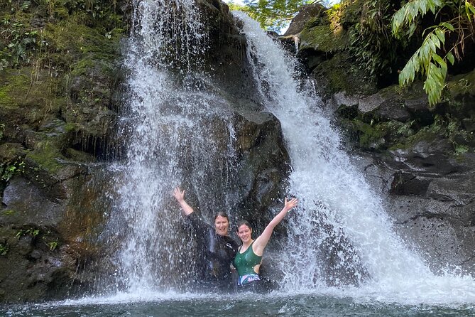 VIP Private Full-Day Road to Hana Tour from Lahaina-Kapalua - Price and what you’re really paying for at $400 per person