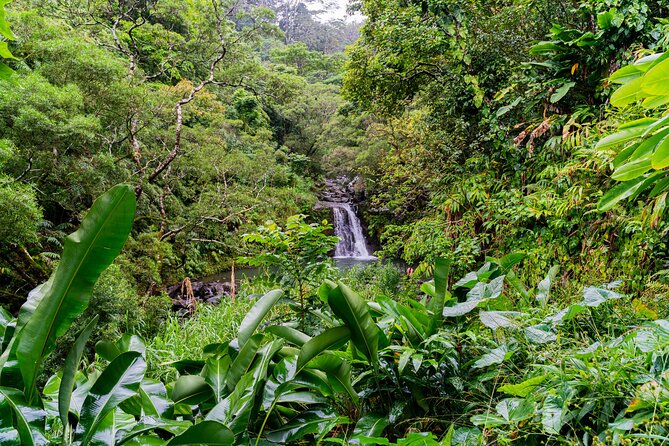 VIP Private Full-Day Road to Hana Tour - Paia and Ho’okipa: start with charm, turtles, and surf energy
