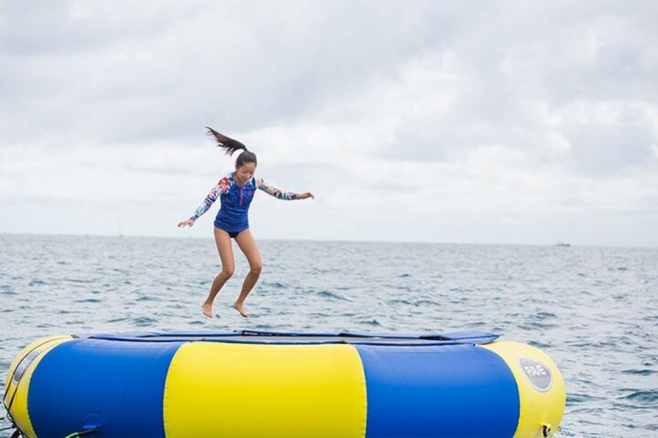 Waikiki: 5-in-1 Turtle Snorkeling Trip with Shuttle Option - Key Points at a Glance