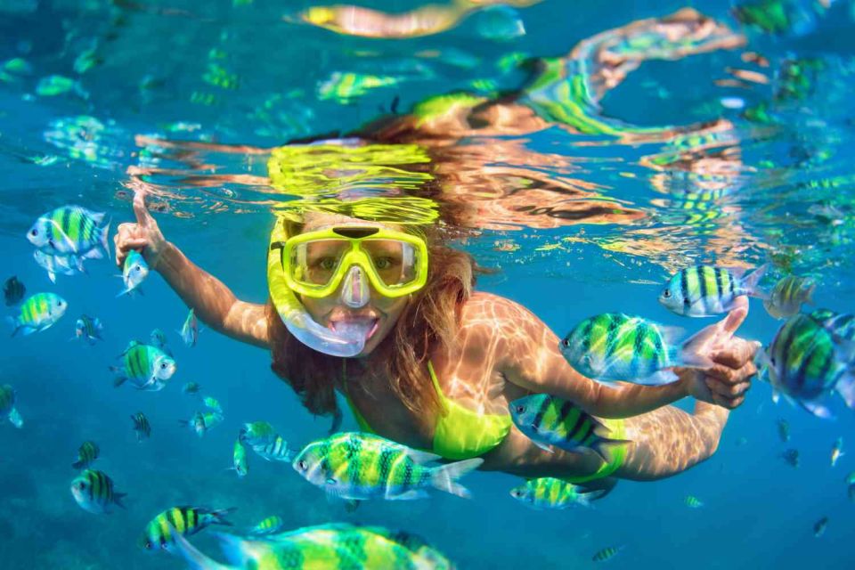Waikiki: 5-in-1 Turtle Snorkeling Trip with Shuttle Option - Food and Drinks: What’s Included and What You Should Bring
