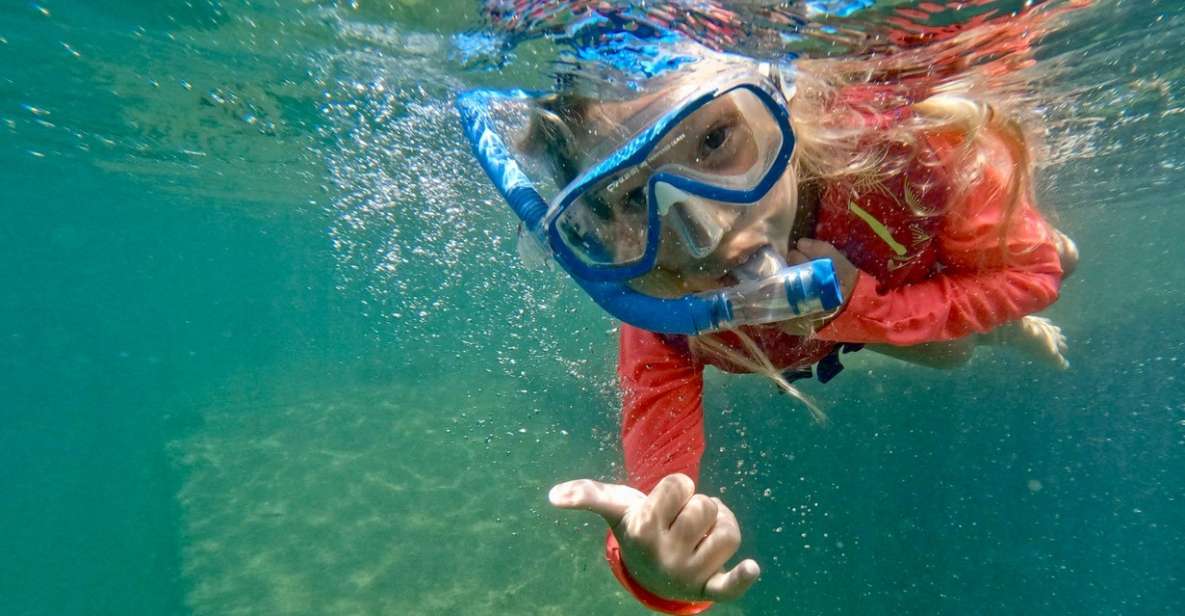 Waikiki: Honolulu Beginner Snorkeling Tour with Videos - Magic Island Lagoon: Waikiki’s beginner-friendly water zone