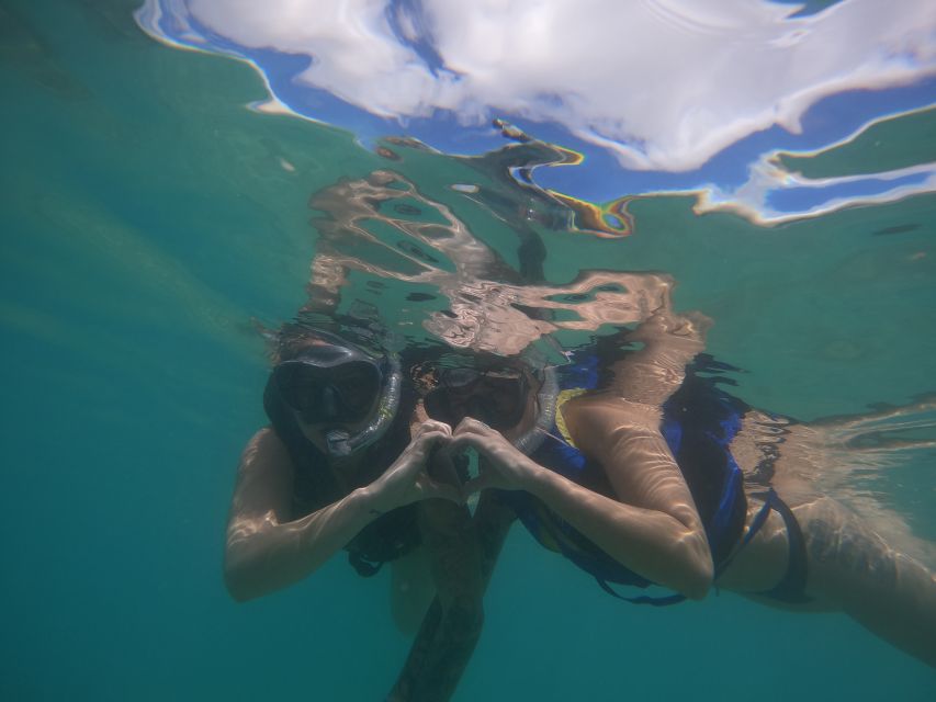 Waikiki: Honolulu Beginner Snorkeling Tour with Videos - Your 90-minute flow: briefing, gear practice, and a guided loop