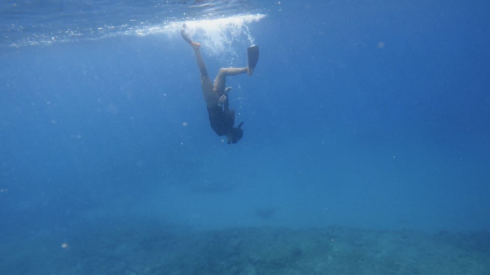 Waikiki: Honolulu Beginner Snorkeling Tour with Videos - Instructor video clips: the souvenir that saves you time and stress