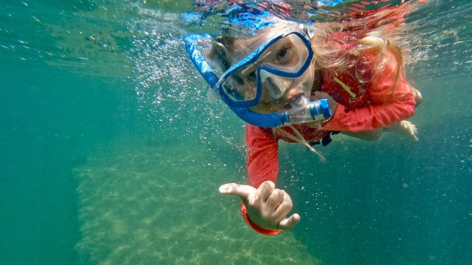 Waikiki: Honolulu Beginner Snorkeling Tour with Videos - Rain or shine in Waikiki: how to plan for conditions