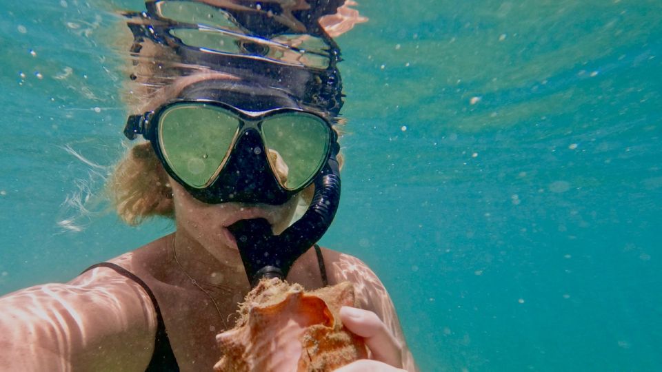 Waikiki: Honolulu Beginner Snorkeling Tour with Videos - Who this snorkeling tour fits best (and who should skip it)