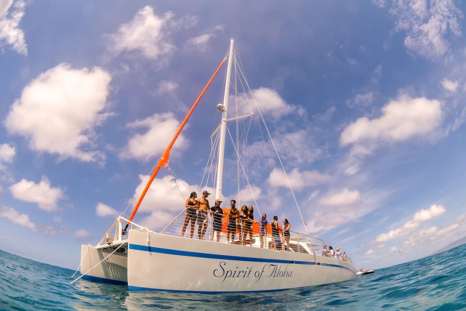 Waikiki Sunset Cocktail Cruise with Drinks and Appetizers - Getting on board: check-in timing and where to meet