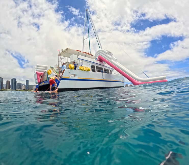 Waikiki Turtle Snorkel Adventure - Price and value: what you’re paying for at $59 (plus the $7 fuel surcharge)