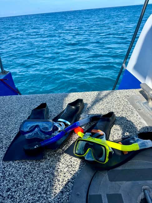 Waikiki Turtle Snorkel Adventure - Quick decision: should you book this turtle snorkel?