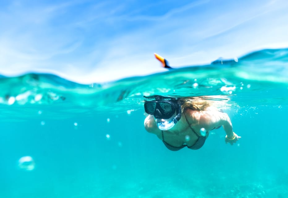 Waikiki: Turtle Snorkeling Cruise with 20ft Jumping Platform - Turtles Off Waikiki: What This 3-Hour Cruise Feels Like