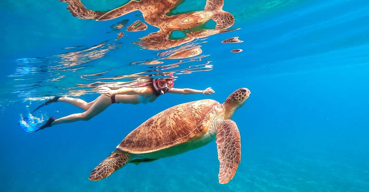 Waikiki: Turtle Snorkeling Cruise with 20ft Jumping Platform - The 20-Foot/30-Foot Jump Platform: Adrenaline Optional