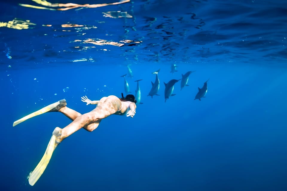 Waikiki: Turtle Snorkeling Cruise with 20ft Jumping Platform - Price and Value: Is $89 Worth It in Waikiki?
