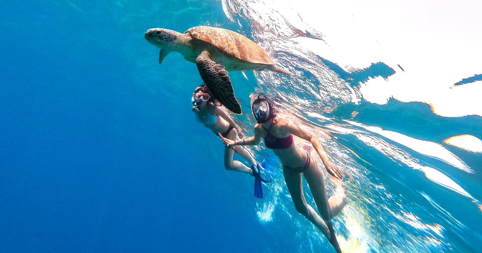 Waikiki: Turtle Snorkeling Cruise with 20ft Jumping Platform - Who This Tour Suits Best (and Who Might Want Another Plan)