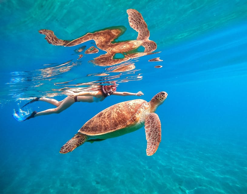Waikiki: Turtle Snorkeling Cruise with 20ft Jumping Platform - Where You Board in Waikiki (and What Happens Before the Water)