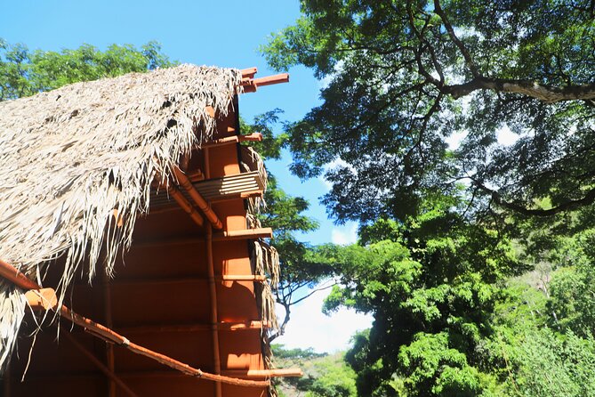 Waimea Valley Waterfall Swim & Dole Plantation Tour with Lunch - Key highlights you’ll actually care about