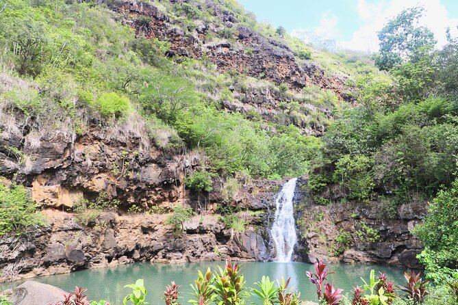 Waimea Valley Waterfall Swim & Dole Plantation Tour with Lunch - The highlight: Waimea Waterfall swim (and what to bring)