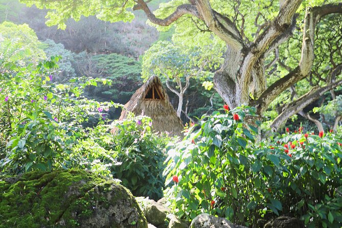 Waimea Valley Waterfall Swim & Dole Plantation Tour with Lunch - Dole Plantation on the way back: worth it, but don’t expect a long linger