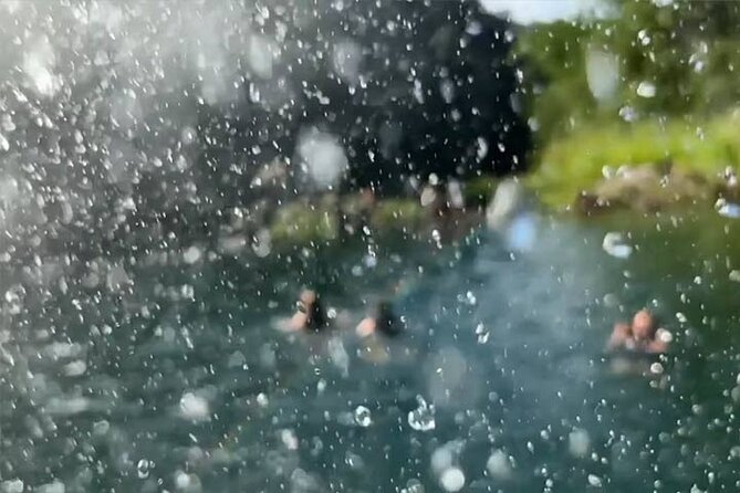 Waimea Valley Waterfall Swim & Dole Plantation Tour with Lunch - Green World Coffee Farm: coffee and a calm kickoff