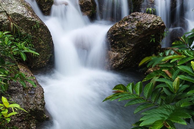 Waterfall, #1 On The Road to Hana, With Chocolate tour Historical - The waterfall hike: short, guided, and real enough to feel adventurous