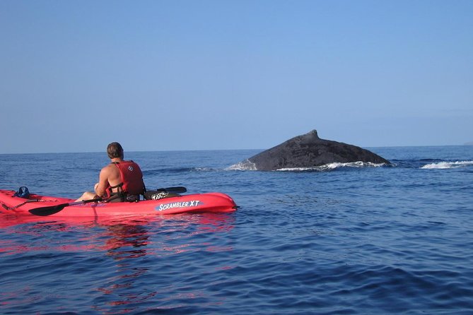 Waterfall Hike and Kayak Snorkel & Paddle from Makena - Timing and energy: how the full 6 hours actually feels