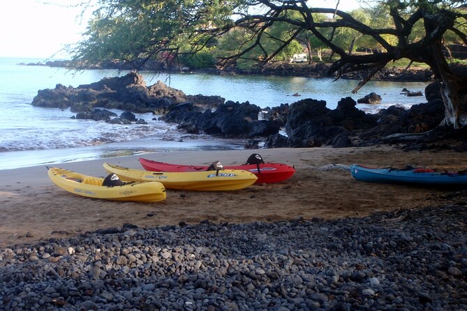 Waterfall Hike and Kayak Snorkel & Paddle from Makena - Price and value: is $270.20 per person worth it?