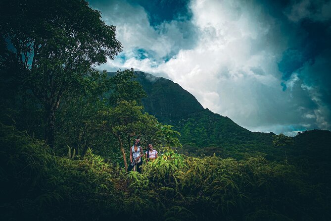 Waterfall Hike in Hawai'i Rainforest Trail - The 3-Hour Flow: From Zoo Pickup to Waterfall Time