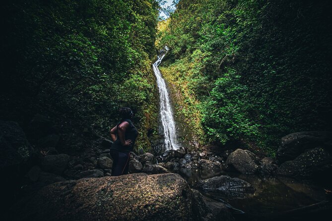 Waterfall Hike in Hawai'i Rainforest Trail - Guides Like Joe V. and Bryce: Stories, Pace, and Safety