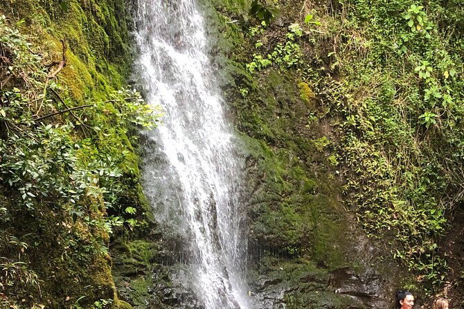 Waterfall Hike , Sightseeing & East Side Beach Day - Quick hits before your 9:00am Honolulu start