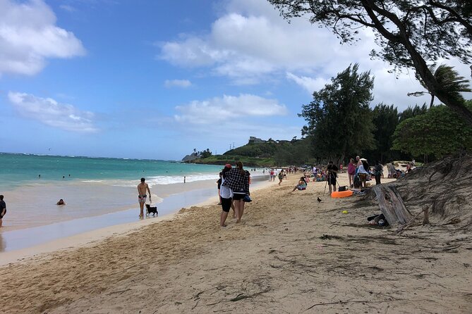 Waterfall Hike , Sightseeing & East Side Beach Day - The guides: what makes the day feel smooth