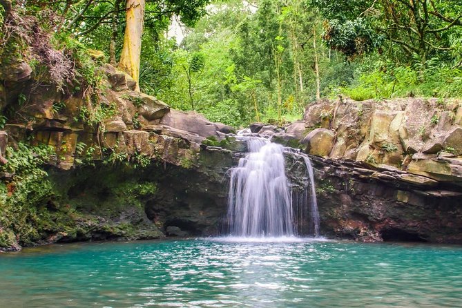 Waterfall & Rainforest Hiking Adventure with Hotel Pickup - Hidden Pool Break: Swim, Rock Jump, and Eat While You Recover