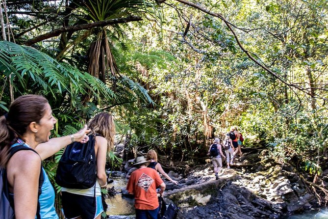 Waterfall & Rainforest Hiking Adventure with Hotel Pickup - What to Pack and How to Plan for Rainy Maui Conditions