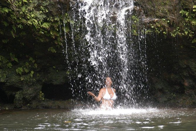 Waterfall & Rainforest Hiking Adventure with Hotel Pickup - Road to Hana: Paia, Ho’okipa, and the Start of the Rainforest Mood