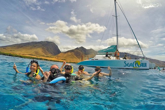 West Maui Afternoon Snorkel from Ka’anapali Beach - Meeting at Ka’anapali: Easy Access, Beach Boarding Notes