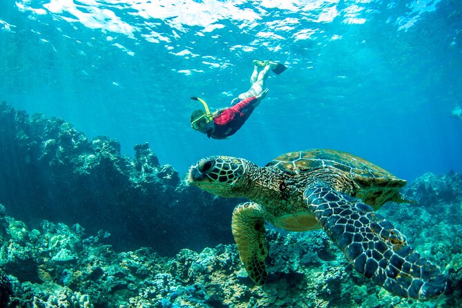 West Maui Afternoon Snorkel from Ka’anapali Beach - Weather, Rough Water, and How to Handle the Ocean
