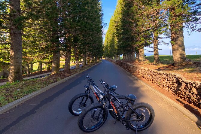 West Maui Electric Bike Rentals - Your Two-Hour Maui Loop: What the Time Is Really For